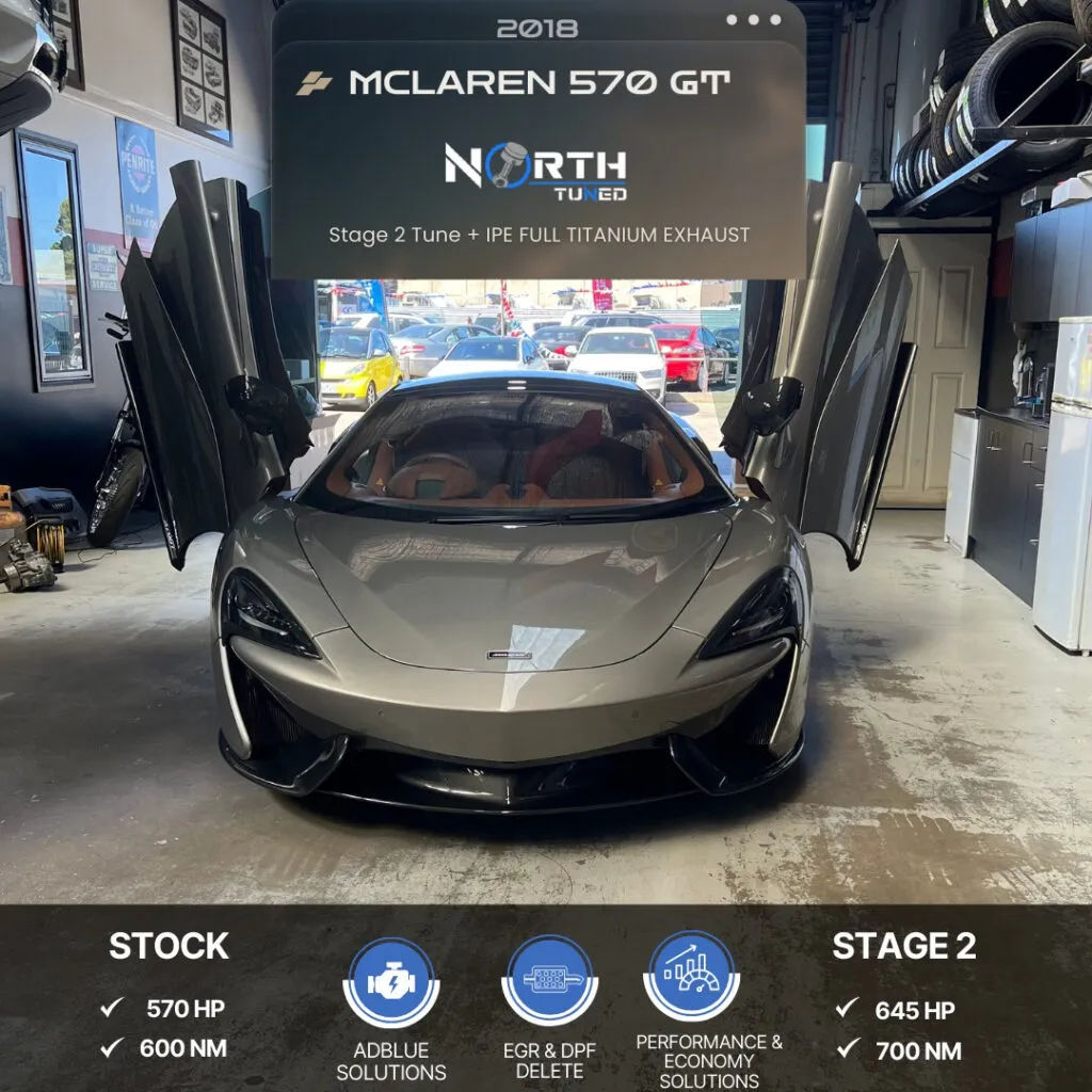 WhatsApp Image 2025-01-24 at 11.04.42 PM